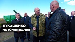 Лукашенко: С вас головы я снесу первыми! Ты их научил, а они нихрена не делают!