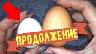 Разбила ЯЙЦО И УПАЛА В ОБМОРОК!!!