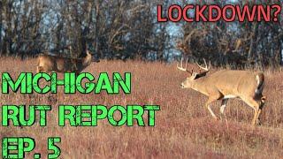 Michigan RUT REPORT | Firearm Season Report | Ep.5