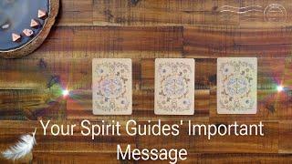 Pick a Card | Your Spirit Guides' Important Message on What Makes You Special in This Lifetime