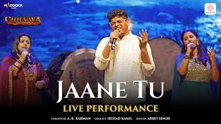 Jaane Tu Live Video | Chhaava | Vicky K, Rashmika M | A. R. Rahman, Arijit Singh, Irshad Kamil