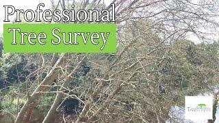 Professional Tree Survey - Tree Risk Assessment Video