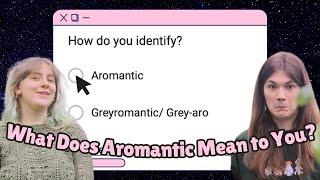 Aros Define {Aromantic} for Themselves | a Survey