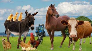 Звуки домашних животных -животные на ферме- звуки сельскохозяйственных животных в деревне