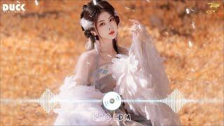 LK Nhạc Hoa Lời Việt Remix Hay Nhất 2024  Nhạc TikTok Trung Quốc Lời Việt Remix