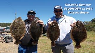 Catching Summer Flounder On Virginia's Eastern Shore