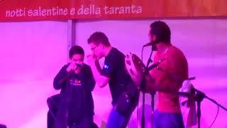 Stefano Taurino - Armonica a Bocca - Festa della Pizzica