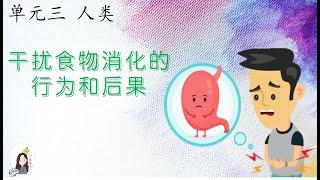 三年级 KSSR SEMAKAN 科学 单元三 人类【干扰食物消化的行为和后果】