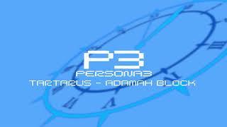 Tartarus - Adamah Block - Persona 3