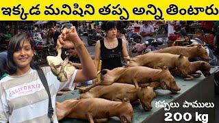 BIGGEST MEAT MARKET IN BANGKOK | TELUGU GIRL IN THAILAND 