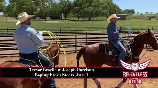 Trevor Brazile and Joseph Harrison Roping Fresh Cattle - Part 1