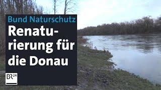 Bund Naturschutz mit Renaturierungskonzept für die Donau | Abendschau | BR24