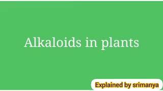 ALKALOIDS IN PLANTS