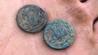 Подняли кошелек античных монет Пантикапея! И много интересного!!(КОП КРЫМ2024)