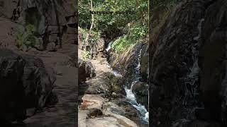 Let the waterfall wash away your worries,near kasipatnam #laxmi #nature #viralshorts #love #songs