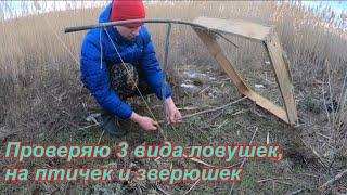 Ставлю ловушки на фазана, зайца, лису. Проверяем какие лучше сработают.