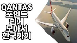 QANTAS 포인트 모아서 한국 여행가기 | 호주 이민• 카이로프랙터 ㅣ 모리골 청년