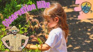 Children's Nature Hike | 5 Senses for Kids