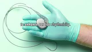 Evidence of the Strong Cardiac Rhythmicity-enhancing Power of Melatonin in the