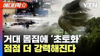 [에디터픽] 마을 전체 집어삼켰다..인류 위협하는 '거대 허리케인' 이동 중 / YTN