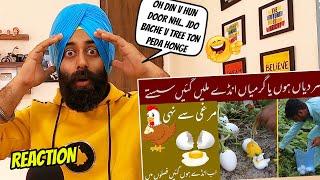 REACTION on Egg Farming on Plants (Trees) in Pakistan | PunjabiReel TV