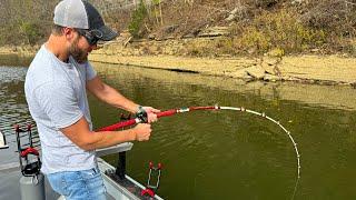 Monster Huntin’ In The Appalachian Mountains | The Bite Was On Fire 