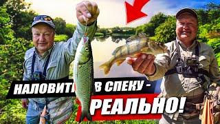 Як ловити на річці влітку? Клень та окунь на спінінг Crazy Fish Alpha 762LT