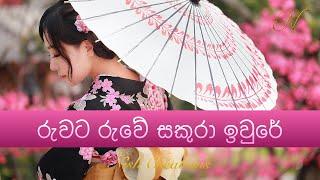 Ruwata ruwe රුවට රුවේ (HD Video -1080p) - T M Jayarathne ටී එම් ජයරත්න