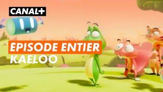 KAELOO - Épisode entier "Et si on jouait... avec la règle" - CANAL+kids