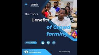 The Best Benefits of Crowd Farming to investors