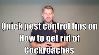 Quick pest control tips on how to get rid of cockroaches