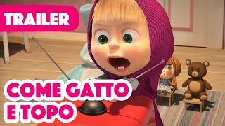 Masha e Orso ‍️ Come gatto e topo  (Trailer)  Arriva il 16 settembre!