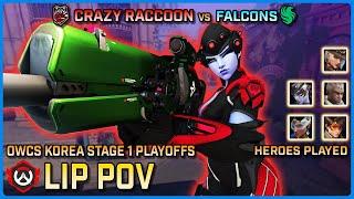 [ LIP ] Crazy Raccoon vs Team Falcons | Playoffs | Semifinals | OWCS Korea Stage 1