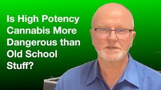 Is high potency cannabis more dangerous than old school weed?