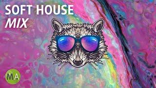 Deep Focus Upbeat Study Music Soft House Raccoon Mix, Isochronic Tones