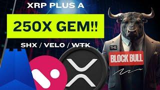 Ripple XRP + SMALL CAP GEMS (VELO, SHX, WTK)