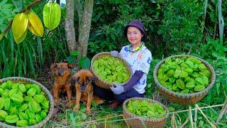 Harvesting Starfruit Goes To Market Sell - Weeding the Garden, Growing Luffa & Cooking | Tieu Lien