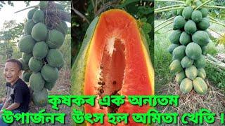 অমিতা খেতি এটা লাভজনক খেতি ।