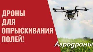 Агродроны в сельском хозяйстве Опрыскиватель дрон Точное земледелие. Дифференцированное внесение СЗР