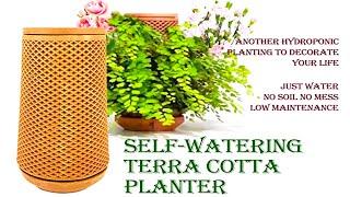 Self-watering Terra cotta Planter//tevaplanter