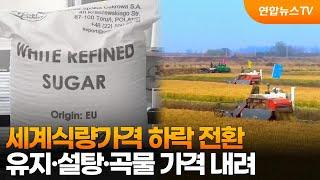 세계식량가격 하락 전환…유지·설탕·곡물 가격 내려 / 연합뉴스TV (YonhapnewsTV)