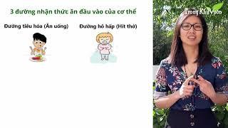 Phần 1: Sức khỏe, Thải độc & Bệnh tật