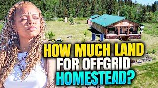 HOW MUCH LAND DO YOU NEED FOR YOUR HOMESTEAD? WHAT 5 ACRES LOOKS LIKE!