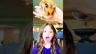 YOU’RE BEAUTIFUL!  #trend #trending #fun #funny #lol #shorts #cute #viralvideo #memes #reels #pets