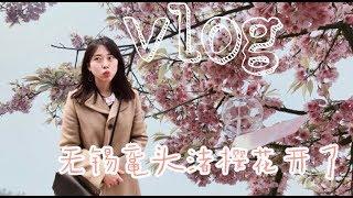 【中韩情侣】无锡鼋头渚赏樱花Vlog