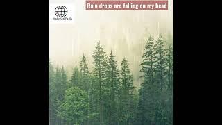 Relaxing Rain drops for sleeping problems || calm and peaceful rain || Malomati Pedia || #shorts