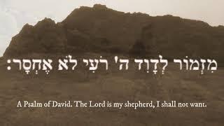 תהלים כ"ג | Psalm 23 The Lord is My Shepherd (in Hebrew)