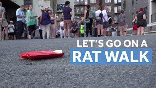 Rat Walk highlights one neighborhood's rodent hotspots