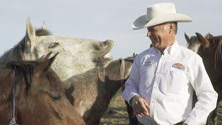 Wild Horses & Wild Men: Horse Whisperer Tames Wild Hearts in Arizona