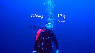 [vlog] 고요한 바다 속에 나 혼자🫧 세부 스쿠버다이빙 브이로그🩵 | scuba diving | diving vlog | 어드밴스 | cebu Philippines |